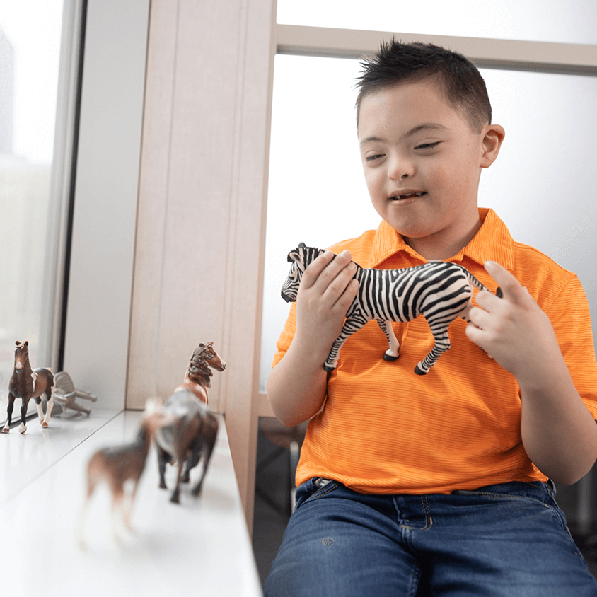 Young boy with Down syndrome playing with zoo animal toys